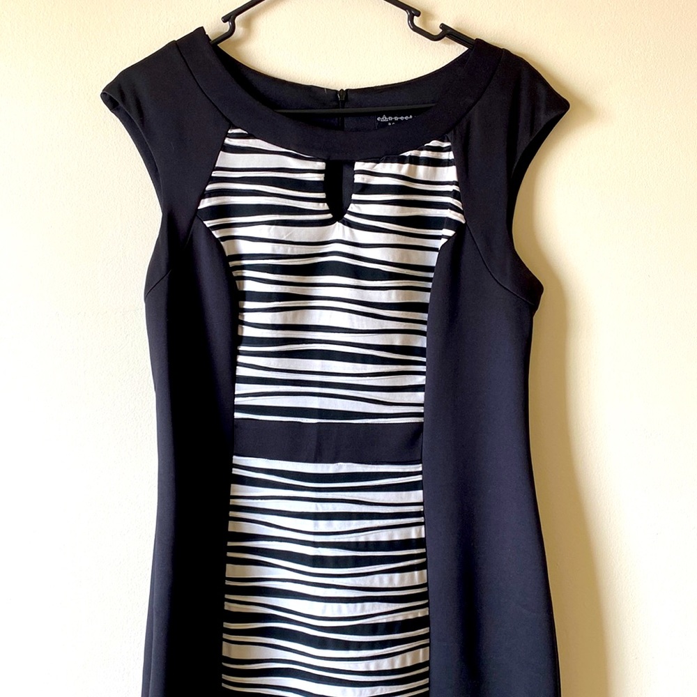 Women’s Black and White striped dress